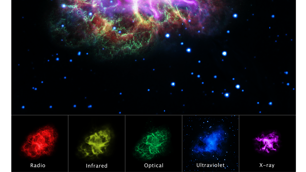 Nebulosa del granchio a diverse frequenze. Crediti HST/NASA/ESA