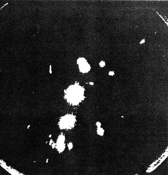 La Cintura di Orione osservata dal Celescope Experiment. Crediti SAO/NASA Astrophysics Data System (ADS)