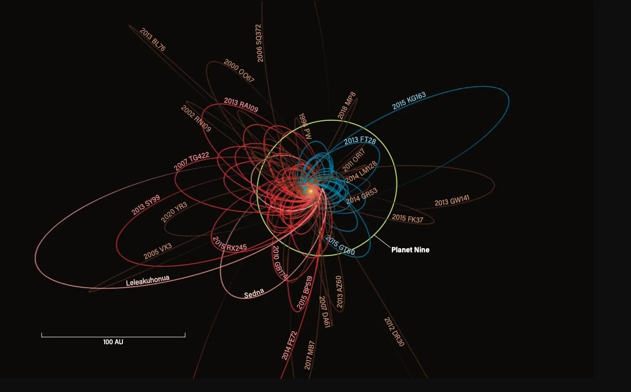 Orbite di ETNO in rapporto alla presenza di Planet Nine