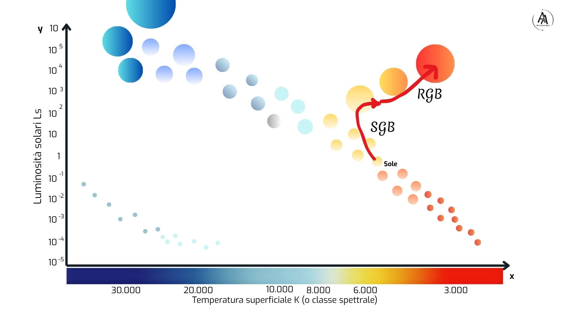 La risalita lungo il ramo delle giganti rosse nel diagramma HR. Crediti AstronomiAmo APS